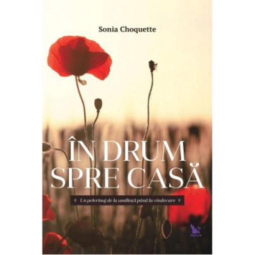 In drum spre casa. Un pelerinaj de la umilinta pana la vindecare