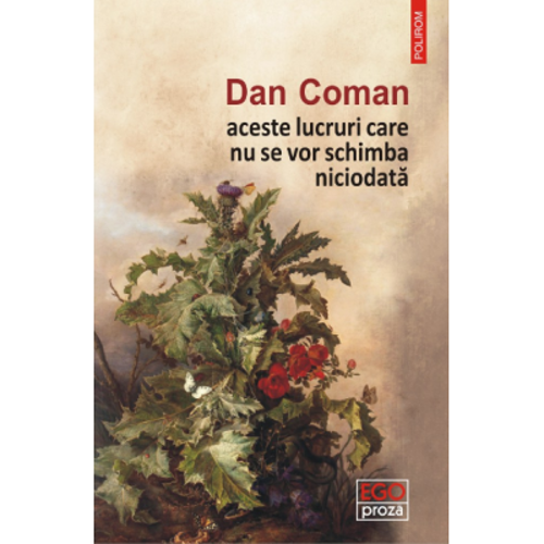 Aceste lucruri care nu se vor schimba niciodata - Dan Coman