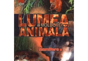 Lumea animala a Moldovei. Volumul 4. Mamifere - Andrei Munteanu, Mina Lozanu