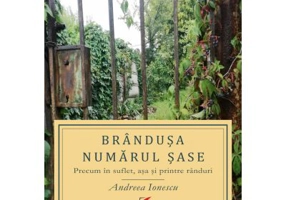 Brandusa numarul sase. Precum in suflet, asa si printre randuri - Andreea Ionescu
