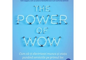 The Power of WOW. Cum sa-ti electrizezi munca si viata punand serviciile pe primul loc - Tony Hsieh
