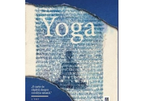 Yoga. Editie hardcover - Emmanuel Carrere