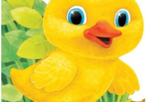 Ratusca. Primii pasi