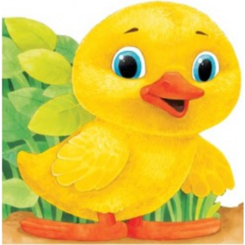 Ratusca. Primii pasi