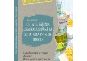 De la curatenia generala si pana la scoaterea petelor dificile - Anke Schmidt