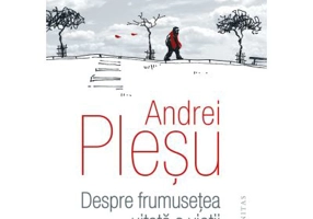 Despre frumusetea uitata a vietii