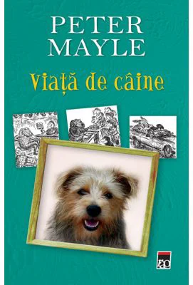 Viata de caine - Peter Mayle