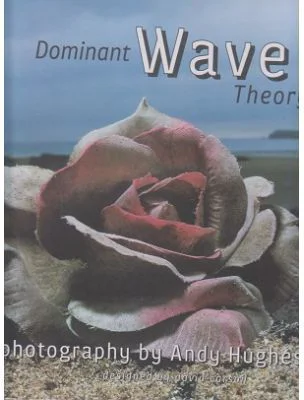 Dominant Wave Theory - Andrew Hughes, David Carson
