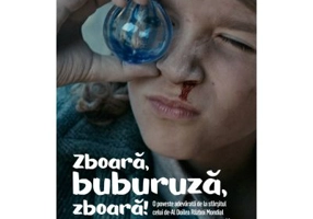 Zboara, buburuza, zboara! - Christine Nostlinger