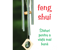 Feng Shui. Sfaturi pentru o viata mai buna - David Daniel Kennedy
