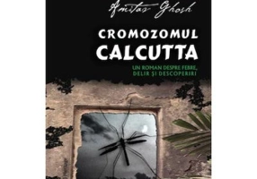 Cromozomul Calcutta