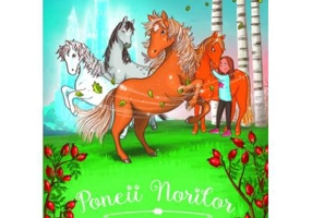 Poneii Norilor. Secretul pietrelor pretioase