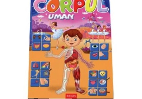 Corpul uman - Alexandru Andrei