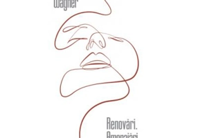 Renovari. Amenajari interioare - Mara Wagner