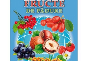 Fructe de padure