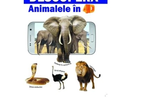 Descopera Animalele in 4D