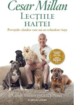 Lectiile haitei. Povestile cainilor care mi-au schimbat viata