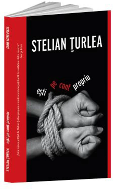 Esti pe cont propriu - Stelian Turlea