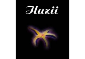 Iluzii - Bujor Voinea