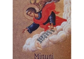 Minuni ale sfintilor ingeri