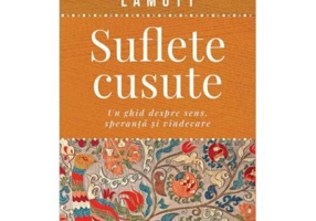 Suflete cusute. Un ghid despre sens, speranta si vindecare - M. Scott Peck