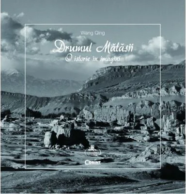 Drumul matasii. O istorie in imagini - Wang Qing