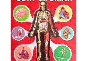 Corpul Uman – model 3D