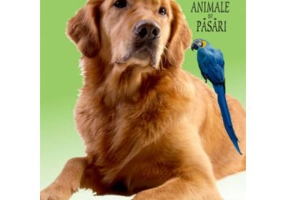 Calendar pentru anul 2022 in imagini cu animale si pasari