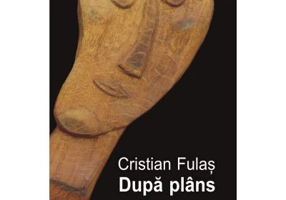Dupa plans - Cristian Fulas