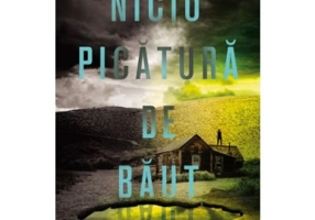 Nicio picatura de baut - Mindy McGinnis