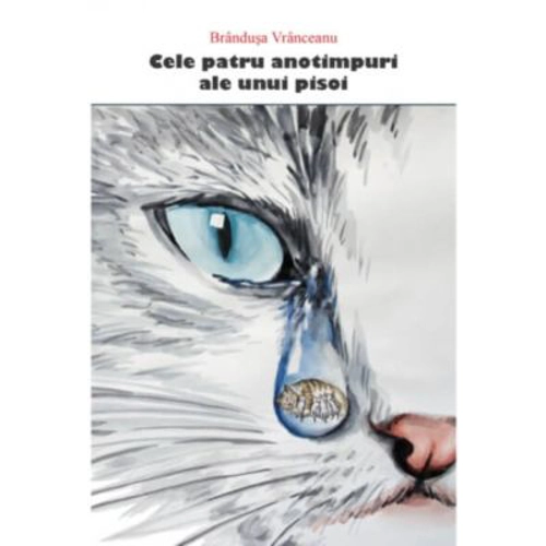 Cele patru anotimpuri ale unui pisoi