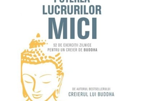 Puterea lucrurilor mici. 52 de exercitii zilnice pentru un creier de Buddha - Rick Hanson