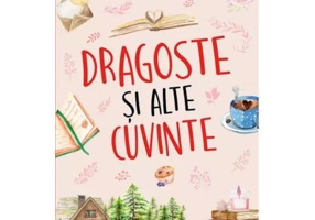 Dragoste si alte cuvinte - Christina Lauren