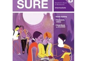 Sure Intermediate Student''s Book and Workbook B