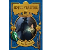 Hotul vrajitor furat - Sarah Prineas