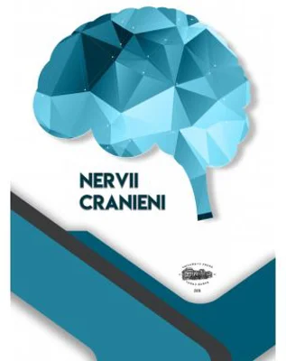 Nervii cranieni - Sarig Norbert-Attila, Alexandru Ghizdavat