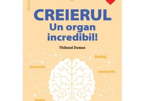 Mic ghid de sanatate. Creierul. Un organ incredibil!