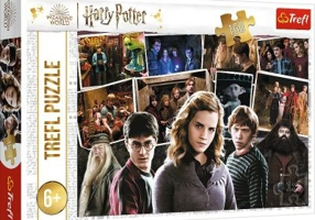 Puzzle 160 Harry Potter, Trefl