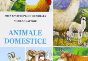 Animale Domestice