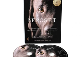 Audiobook. Nerostit - Neil Abramson