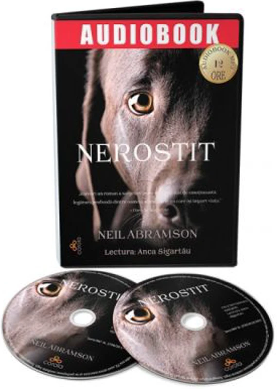 Audiobook. Nerostit - Neil Abramson