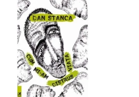 Cum mi-am distrus viata - Dan Stanca