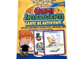 Jocuri pentru copii inteligenti - 6 ani. Carte de activitati