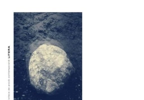 Salamandre - Liviu G. Stan