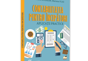 Contabilitatea pentru incepatori. Aplicatii practice - Florin Boghean, Mariana Vlad