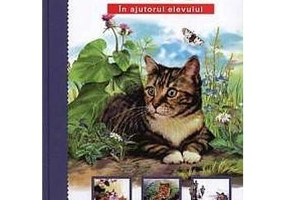 Pisici. In ajutorul elevului - C. U. Afonkina