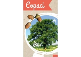 Micul biolog. Copaci - Anita van Saan