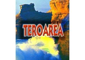 Teroarea - Pavel Corut