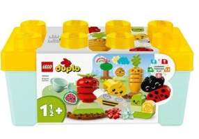 LEGO DUPLO. Gradina organica 10984, 43 piese
