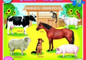 Puzzle Animale domestice